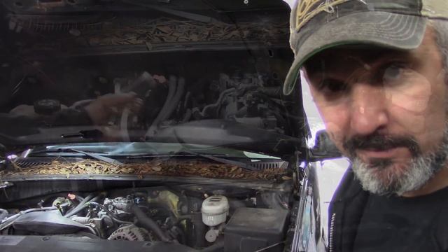 Parts Cannon Special: Rich Running Chevy Truck P0172 and P0175 смотреть онлайн