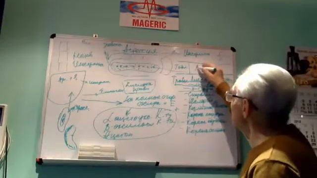 Врач высшей категории. Здоровье, это просто! смотреть онлайн