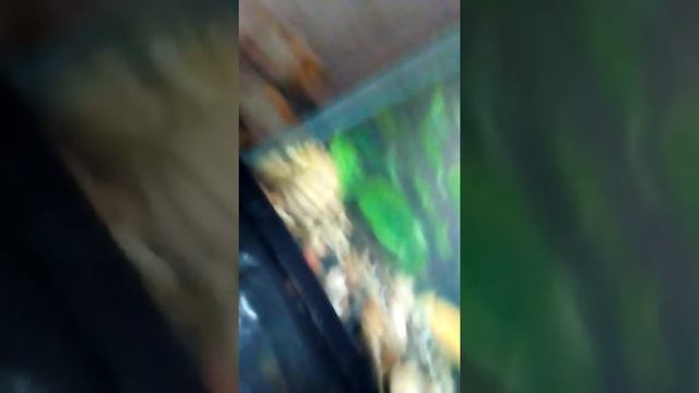 Рум тур смотреть онлайн