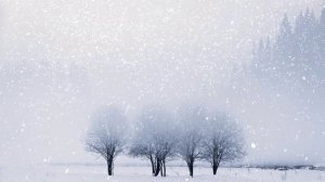 Футаж. Зимний пейзаж 61