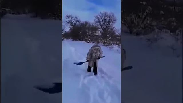 С ДНЕМ РОЖДЕНИЯ МЕНЯ(ч. 2)Здравствуй зима! смотреть онлайн