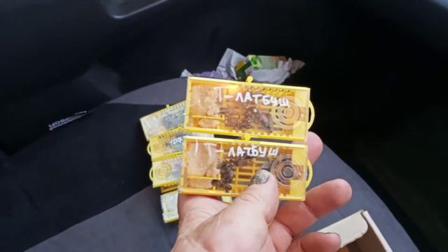 Матки Карника с Новосибирска смотреть онлайн