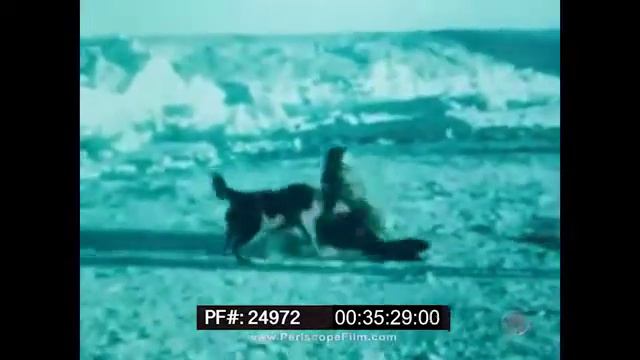 THE SECRET LAND - OPERATION HIGHJUMP 1946 - ADM. RICHARD BYRD