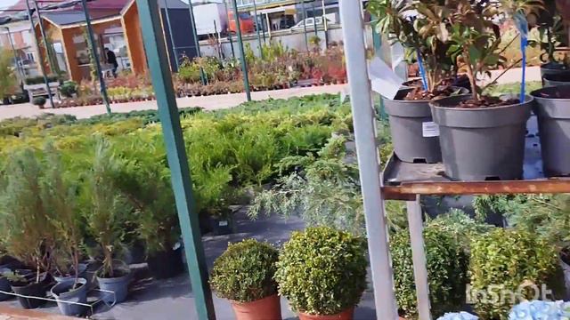 Обзор орхидей Планета Лето 28 09 23 и других растений смотреть онлайн