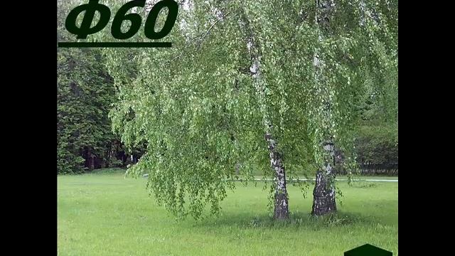 Ф60 - Водопад любви (Инструментал) смотреть онлайн