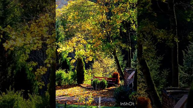 Когда от родителей отказываются дети смотреть онлайн