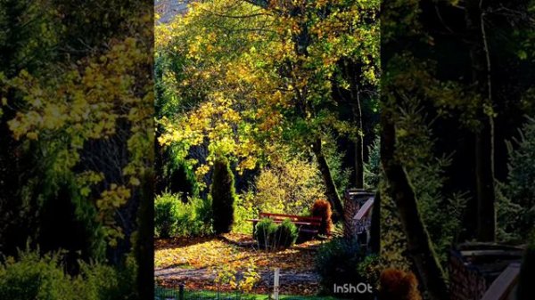 Когда от родителей отказываются дети