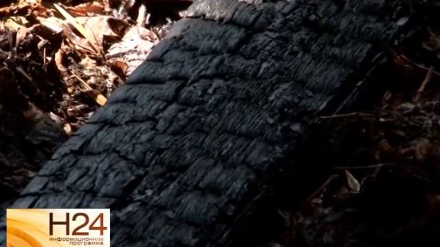 В момент возгорания в здании находилось 5 человек смотреть онлайн