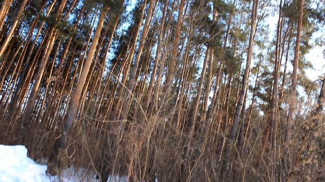 Обзор Audi 100 avant #CHVV смотреть онлайн