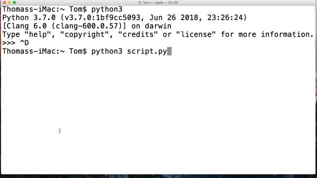 Python 3.7: Introduction To Command Line and Python Commands смотреть онлайн