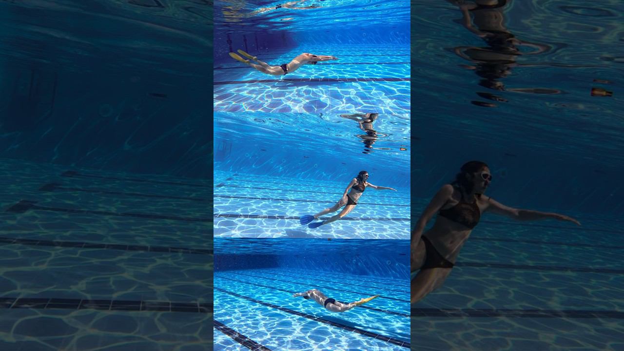 Дельфиним под водой. Туда-сюда, то вверх, то вниз. #фридайвинг #freediving #swimming #дельфины смотреть онлайн