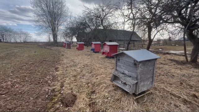 ПАСЕКА ПОСЛЕ ЗИМОВКИ/СЕЗОН 2022/ВЕСЕННЯЯ ПОРА смотреть онлайн