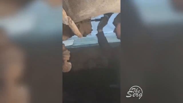 НОВЫЕ АВТО ПРИКОЛЫ 2022 _ Я РЖАЛ ДО СЛЕЗ _ ЛУЧШИЕ АВТО МОМЕНТЫ #1000.mp4 смотреть онлайн