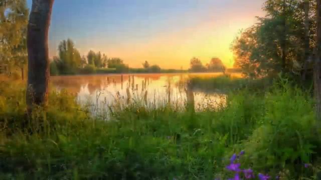 Общее место гордых. Священник Александр Ельчанинов. смотреть онлайн