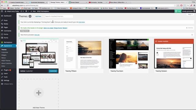 14. Change Theme to Customizr смотреть онлайн