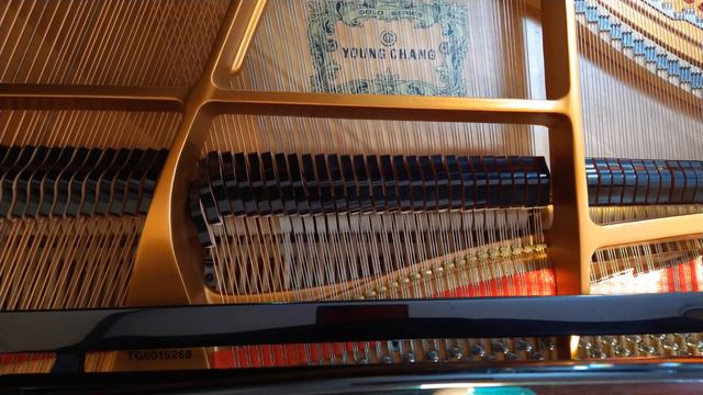 Otherside by Lena Raine on piano смотреть онлайн