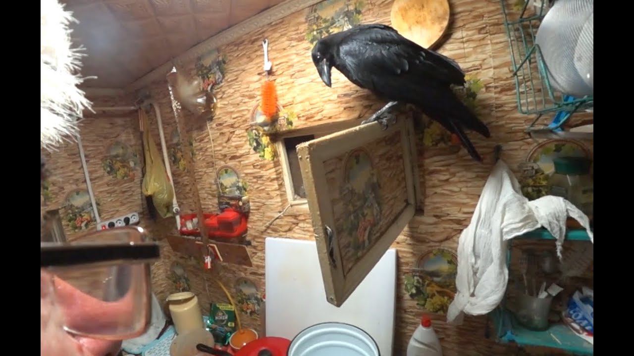 Бытовухой КиноДНА - в КиноВОРОНКУ Черного Квадрата. смотреть онлайн