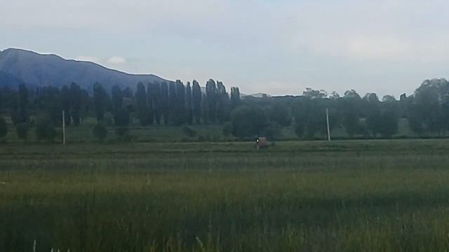 Иссык куль, Ананьево 2020.Прогулка за село.Красота природы. смотреть онлайн