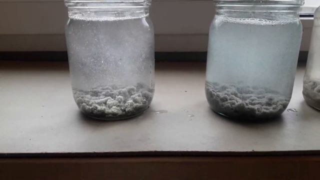 Пелетс быстрорастворимый пылящий смотреть онлайн