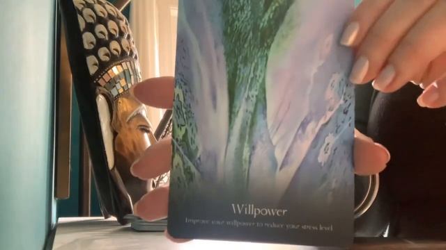 Today’s tarot is from my Sufi Wisdom Oracle deck ?? смотреть онлайн
