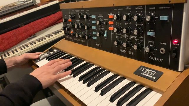 Moog Minimoog Model D Reissue - Flashlight SynthBass (cover) смотреть онлайн