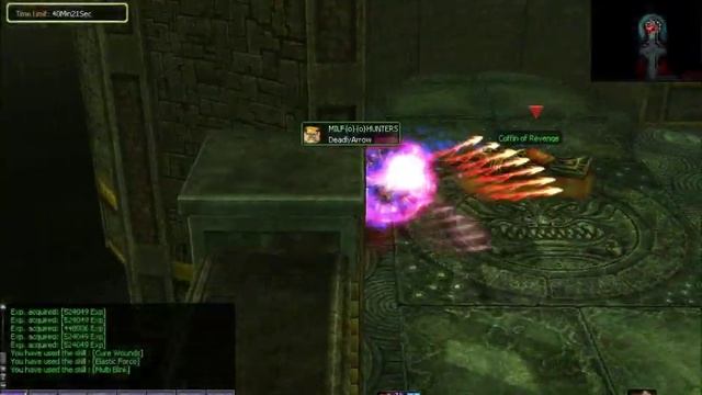 Insane - Dekaron Game play смотреть онлайн