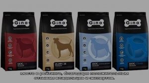 Рейтинг кормов для собак премиум класса по мнению ветеринаров