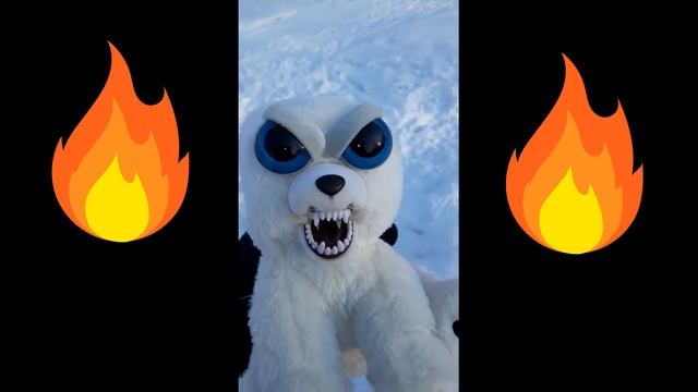 3.2 Жуткие Feisty pets смотреть онлайн