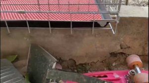 ЛУЧШИЕ ГОЛУБИ В МИРЕ **3 Часть** Узбекские двухчубые голуби. Tauben. Pigeons