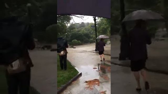 Ялта сегодня,держись город Счастья, пусть у тебя всё будет хорошо смотреть онлайн