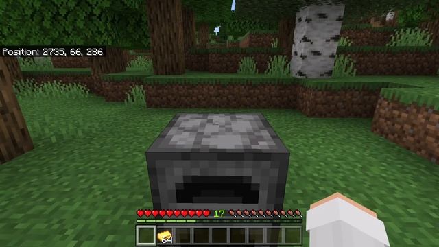 SIMPLE 1.18 XP GLITCH in Minecraft Bedrock (MCPE/Xbox/PS4/Nintendo Switch/Windows10) смотреть онлайн