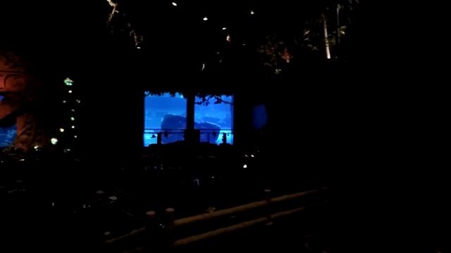 Dubai Mall Aquarium And Fountain Show 4K HD