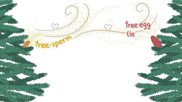 Когда деревья сходят с ума [MinuteEarth] Озвучка на русском смотреть онлайн