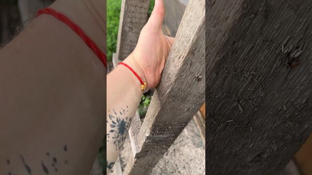 Любите занозы? смотреть онлайн