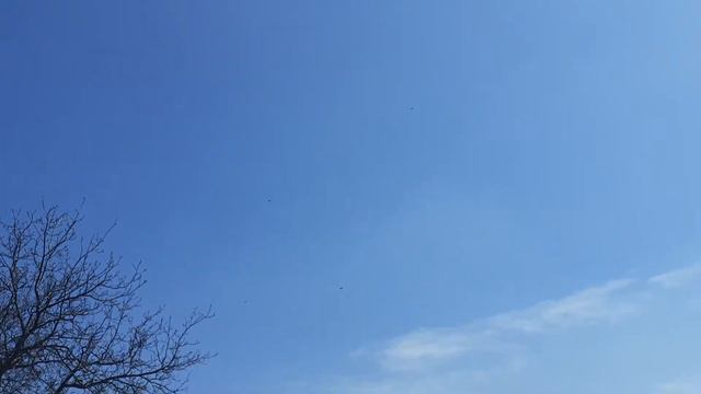 Голубеводы не подумайте сильно большой ветер и их давит внизу смотреть онлайн