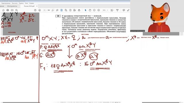 Разбор генетической задачи вариант 30 из Рохлова 2023 | как определить тип наследования и доминанту смотреть онлайн