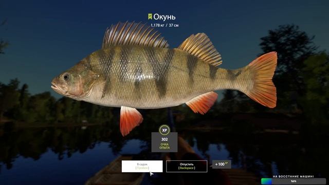 Почему не нужно играть в русскую рыбалку 4! - Стрим смотреть онлайн
