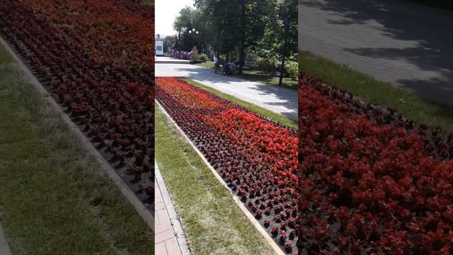 Это Белгород смотреть онлайн