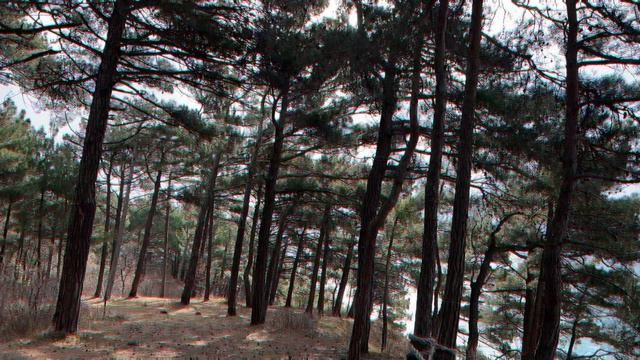 Архипка 24-05-2024