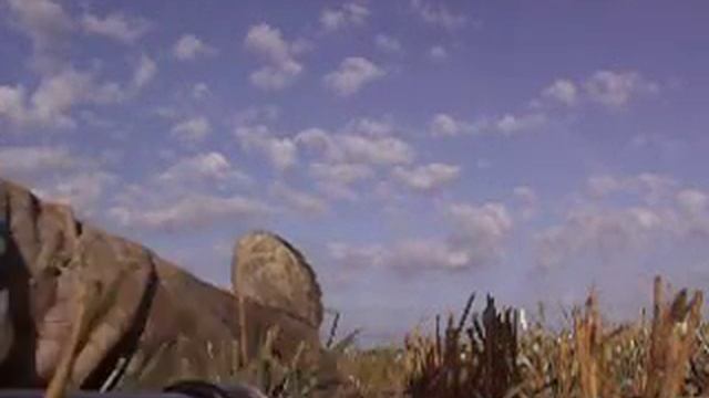 Goose Hunting Team WackIT #1 смотреть онлайн