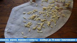 Подготовка семян к посеву