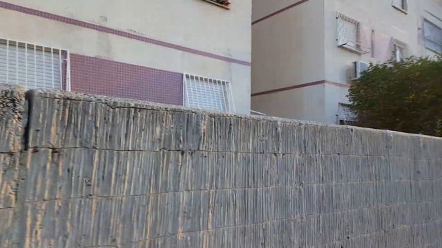 ПРОГУЛКА ПО ул ПАЛЬМАХ В КИРЬЯТ ЯМЕ ОТ МОРЯ смотреть онлайн