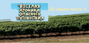 Веселая хроника опасного путешествия 26 серия