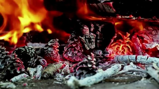 МЕДОВАЯ ВЕДЬМА. Страшные истории про деревню. Истории на ночь. Деревня. Ведьмы. Ужасы. Сибирь. смотреть онлайн