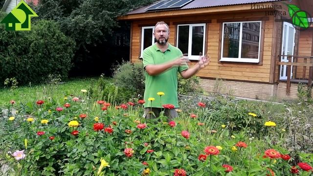 ЛЕЧИМ ДУШУ... СОРНЯКАМИ! Как сорняки помогают сохранять душевное спокойствие и здоровье. смотреть онлайн