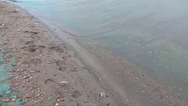 Река Кама,г.Пермь,сетябрь смотреть онлайн