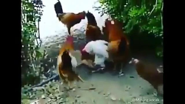 pemerkosaan смотреть онлайн