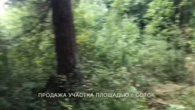 Массив Белоостров, СНТ-Светлана-1, продажа участка смотреть онлайн