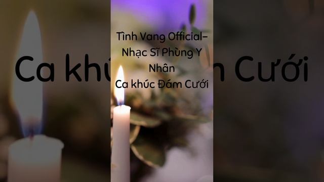 Tình Khúc Phùng Y Nhân - Đám Cưới #phungynhan #tinhvangofficial #bacsinguyenvanhoc смотреть онлайн