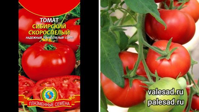 ЭТИ 4 РАННЕСПЕЛЫХ ТОМАТА ЗАВАЛЯТ УРОЖАЕМ! Посадите - не пожалеете!